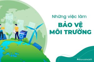 Những việc làm Bảo vệ môi trường mang lại hiệu quả tốt nhất 