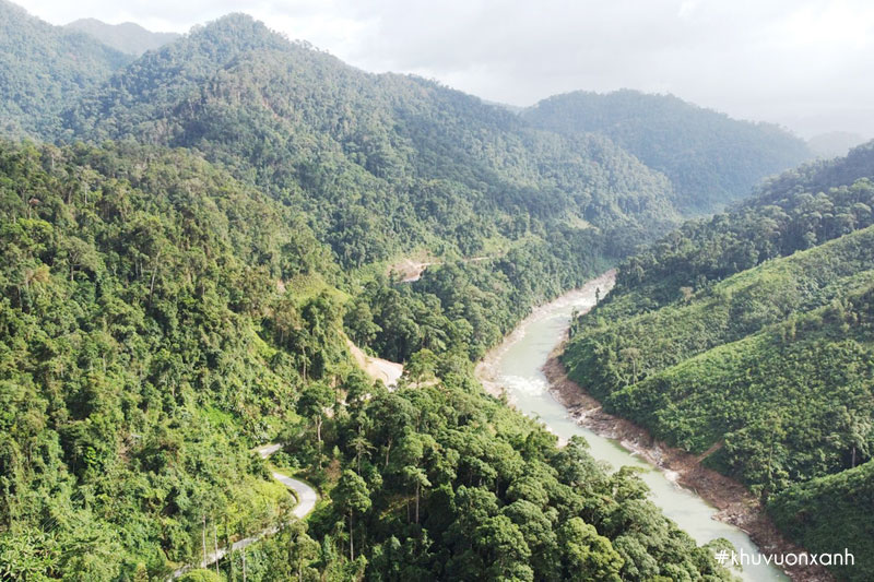 Rừng phòng hộ đầu nguồn