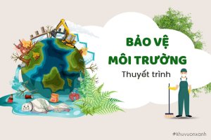 Bài thuyết trình về Bảo vệ môi trường hay, ngắn gọn và ý nghĩa