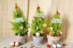 Cách trang trí cây Tùng thơm Noel đón Giáng sinh an lành