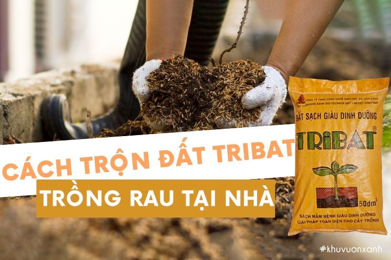 Cách trộn đất sạch Tribat trồng rau tại nhà