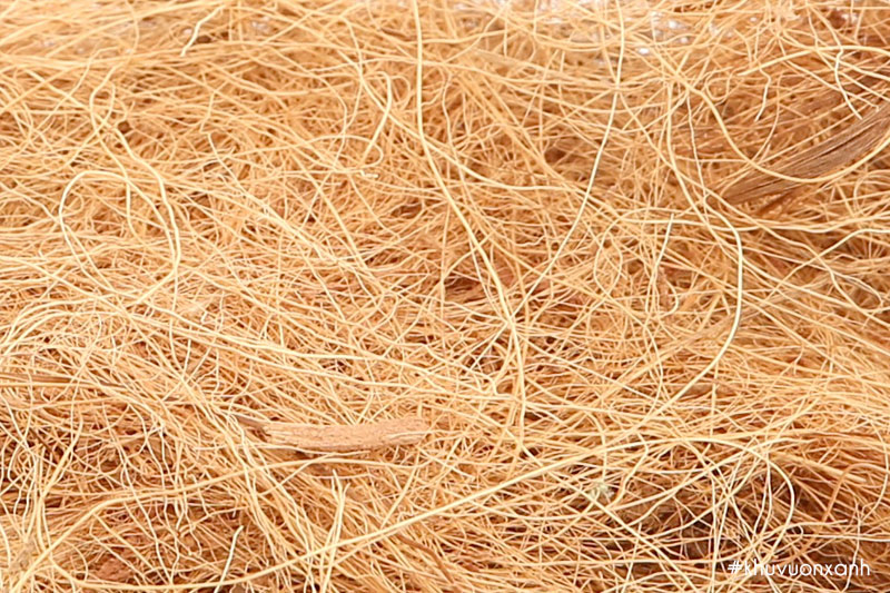 Chỉ xơ Dừa xuất khẩu có giá trị kinh tế cao