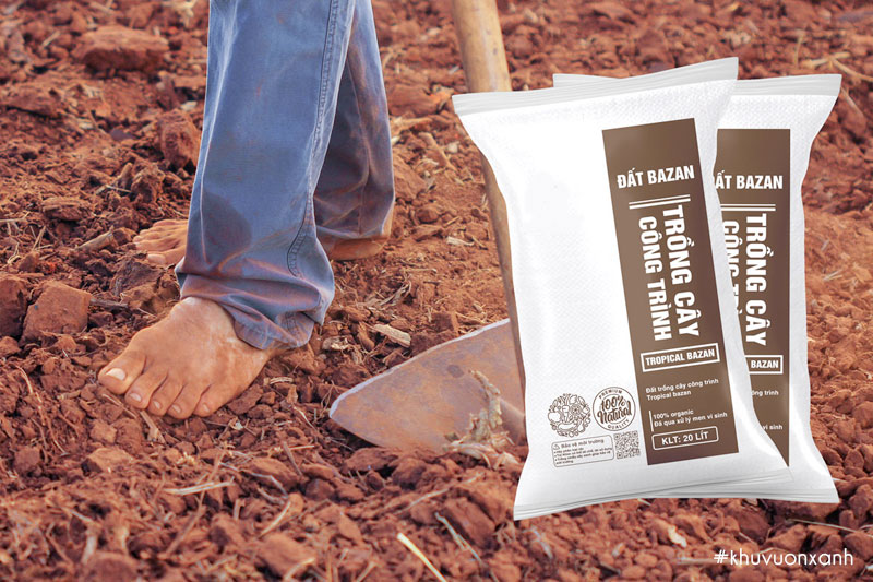 Đất đỏ Bazan có chứa hàm lượng dinh dưỡng cao