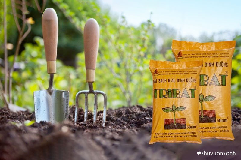 Đất sạch trồng cây Tribat