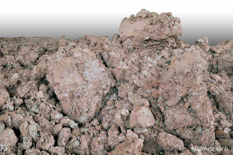 Đất thịt nặng có tỉ lệ đất sét cao