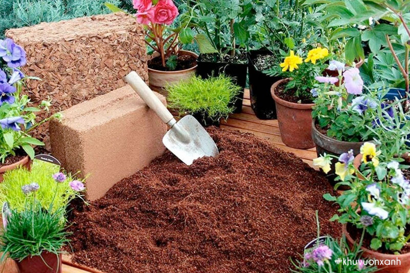 Giá thể Xơ dừa trồng cây