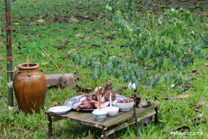 Quy trình làm Lễ cúng xin chặt Cây kèm bài Văn khấn chi tiết