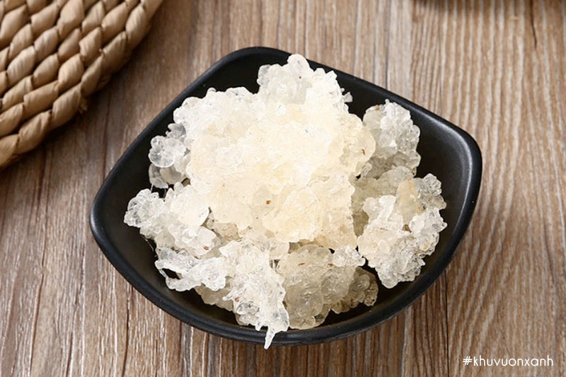 Mủ Trôm chính là phần nhựa của cây Trôm