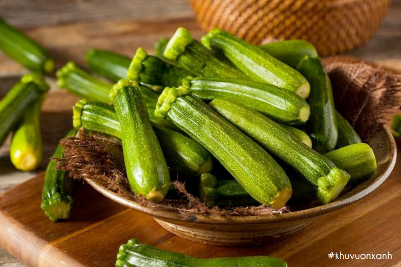 Quả bí Ngòi rất tốt cho sức khỏe