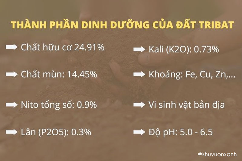 Thành phần dinh dưỡng của đất Tribat