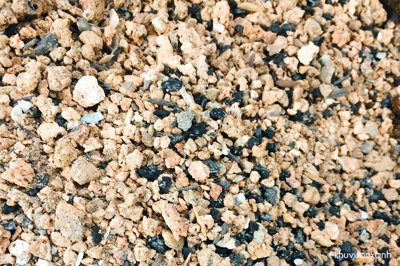 Thành phần của Xỉ than trồng cây