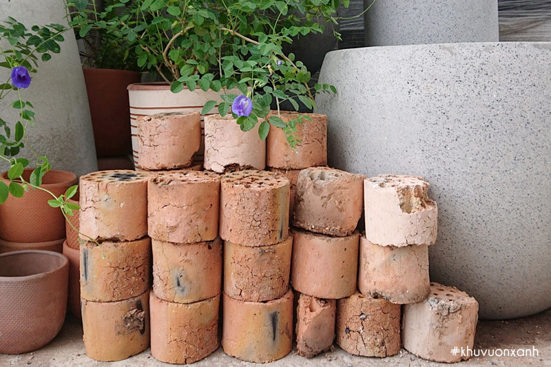 Xỉ than trồng cây