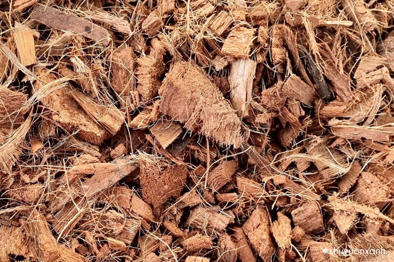 Xơ dừa là sản phẩm được tạo ra từ vỏ quả Dừa