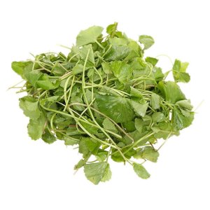 hat giong rau ma la nho