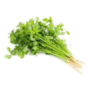 hat giong rau mui ngo ri