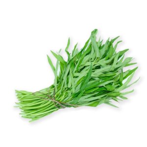 hat giong rau muong la tre