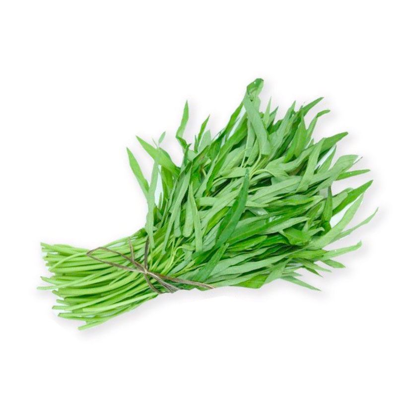 Hạt giống Rau muống lá tre (Lá nhỏ) gói 100gr