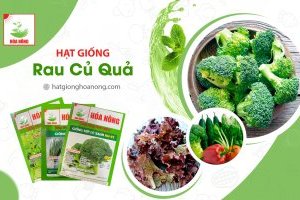 Hạt giống Hóa Nông - Thương hiệu vàng trên thị trường Hạt giống rau màu