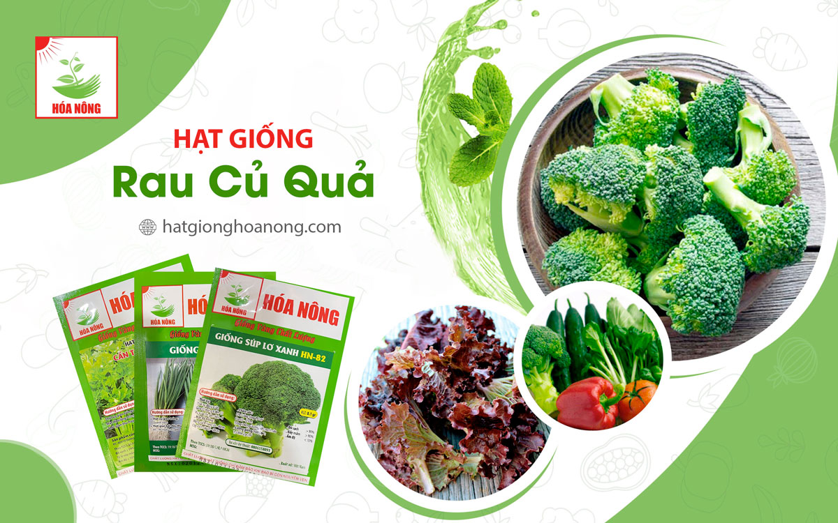 Hạt giống Hóa nông - Giống vàng chất lượng