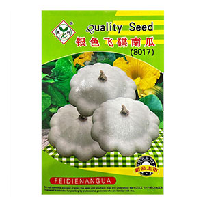 Hạt giống Bí Ngòi đĩa bay màu trắng, gói 10 hạt (hàng Trung)