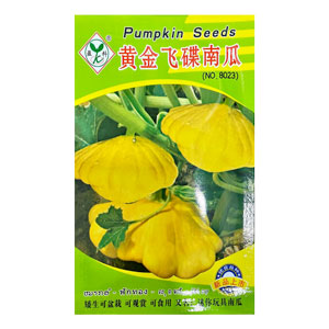 Hạt giống Bí Ngòi đĩa bay màu vàng, gói 10 hạt (hàng Trung)