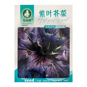 Hạt giống Cải mù tạt tím lá to