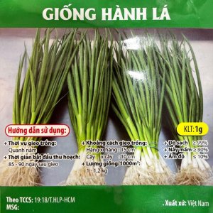 Hạt giống Hành lá gốc trắng gói 1gr