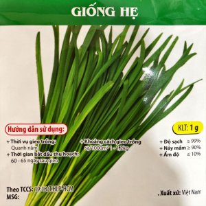 Hạt giống Hẹ ta ăn lá