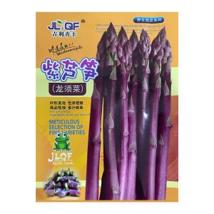 Hạt giống Măng tây tím (Purple Asparagus) gói khoảng 10 hạt, hàng Trung
