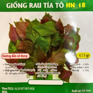 Hạt giống Tía tô