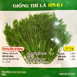 Hạt giống Thì là chịu nhiệt, trồng quanh năm, gói 5gr