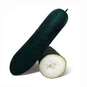 hat giong bi dao xanh den khong lo