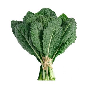 hat giong cai kale khung long