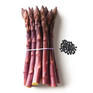 hat giong mang tay tim purple asparagus