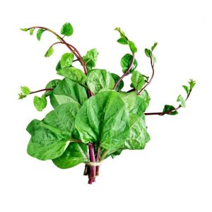 hat giong rau mong toi tim