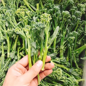 thu hoach sup lo bong cai xanh baby