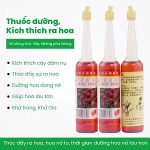 thuoc duong kich hoa