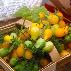 ca chua trai cay qua le vang