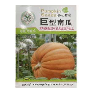 Hạt giống Bí Ngô khổng lồ, gói 5 hạt (hàng Trung)