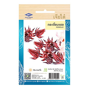 Hạt giống Bụp giấm (Atiso đỏ Hibicus) gói 5gr, hàng Thái