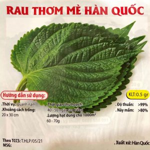 Hạt giống lá Mè Hàn Quốc Sesame (lá Vừng, lá Nhíp)