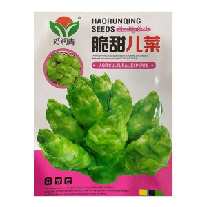 Hạt giống Cải Mầm đá Sapa gói 2gr, hàng Trung