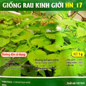 Hạt giống rau Kinh giới HN-17 gói 1gr