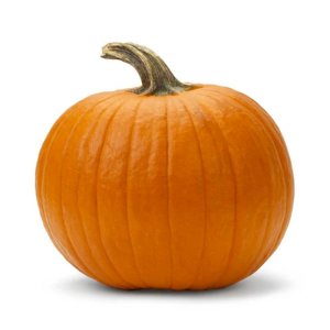hat giong bi ngo khong lo giant pumpkins