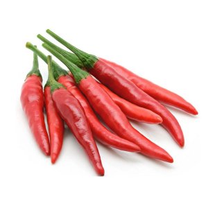 hat giong ot chi thien