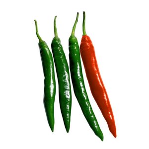 hat giong ot sung trau xanh den