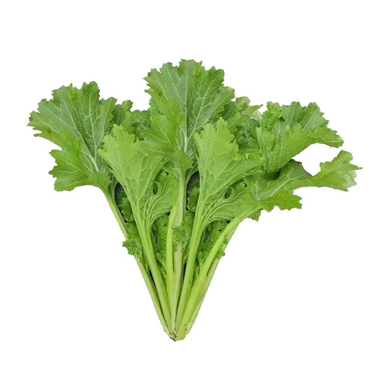 Hạt giống Cải mèo Hà Giang gói 20gr