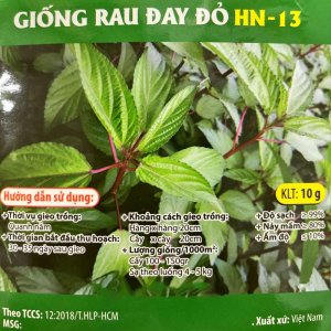 Hạt giống rau đay đỏ