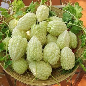 muop dang trai tim trang