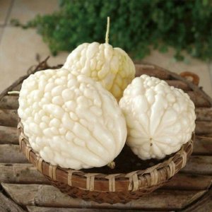 trai kho qua tron bach ngoc